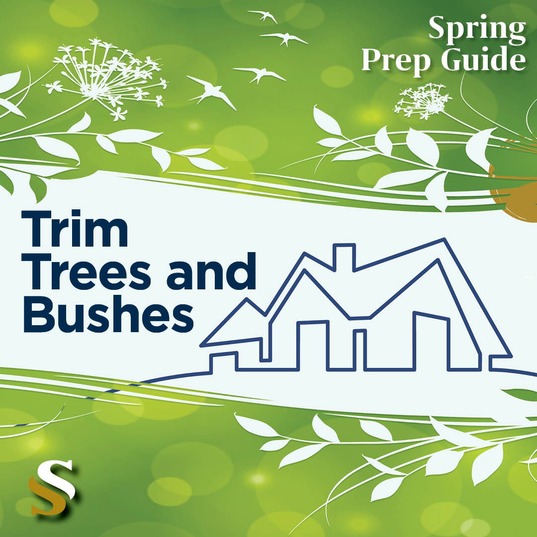 Spring Prep TRIM TREES AND BUSHES
